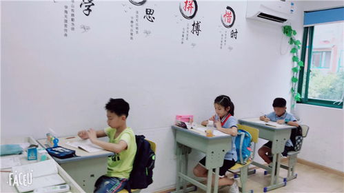 初一英语1对多提分 中小学英语培训全面解析与高效策略